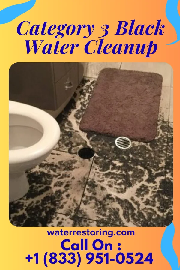 Category 3 Black Water Cleanup in Gumbranch, GA