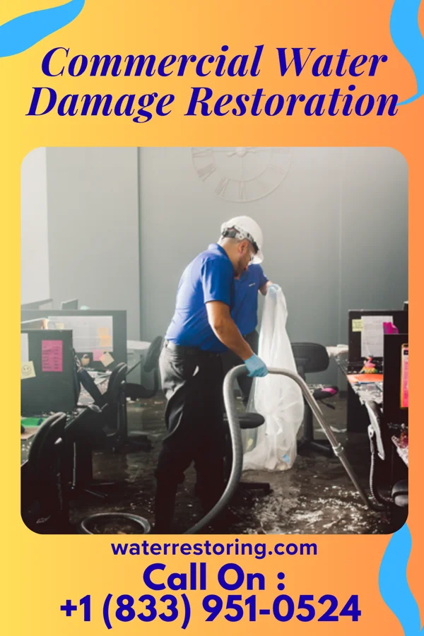 Commercial Water Damage Restoration in Gumbranch, GA