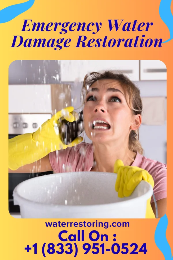 Emergency Water Damage Restoration in Gumbranch, GA