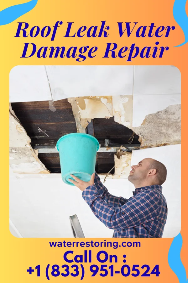 Roof Leak Water Damage Repair in Gumbranch, GA